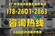 双开门冰柜一个坏了怎么修（如何自行维修双开门冰柜中的故障）