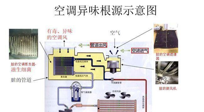 鲸鱼空调清洗方法（让你的空调焕然一新）